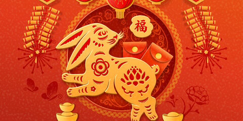 chinese new year 2023 rabbit_260268081