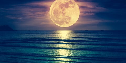 full moon_101523332