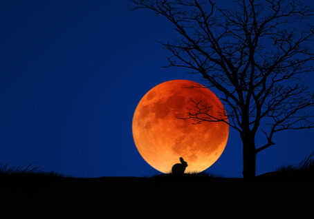 full moon_149340204