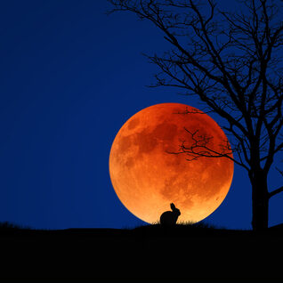 full moon_149340204