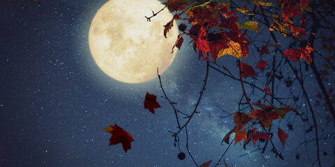 full moon_156808094