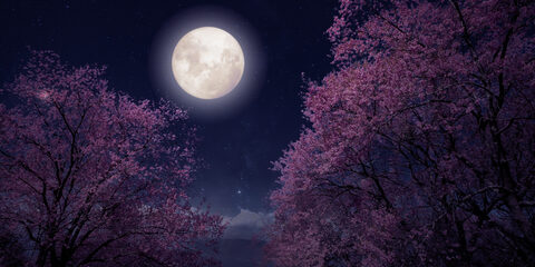 full moon_178840710