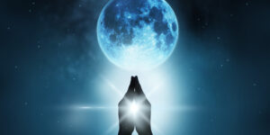 full moon 64080640 custom crop