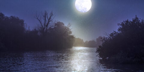 full moon_89065968
