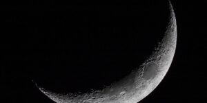 new moon 56487847 low custom crop