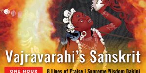 vajravarahis sanskrit new 1 custom crop