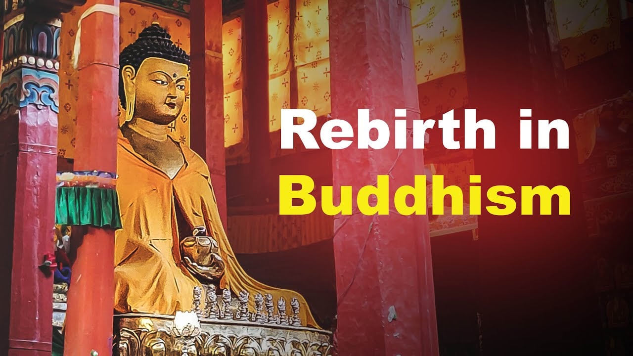 buddhism and rebirth oneness tim