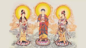 e58d97e784a1e998bfe5b