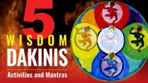five buddhist wisdom dakinis dha