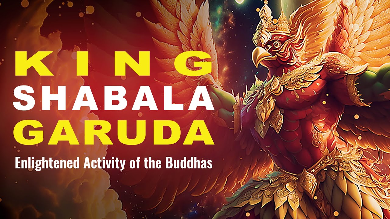 king shabala multicolored garuda