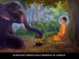 lifeofbuddha Buddha served by Elephant in Jungle