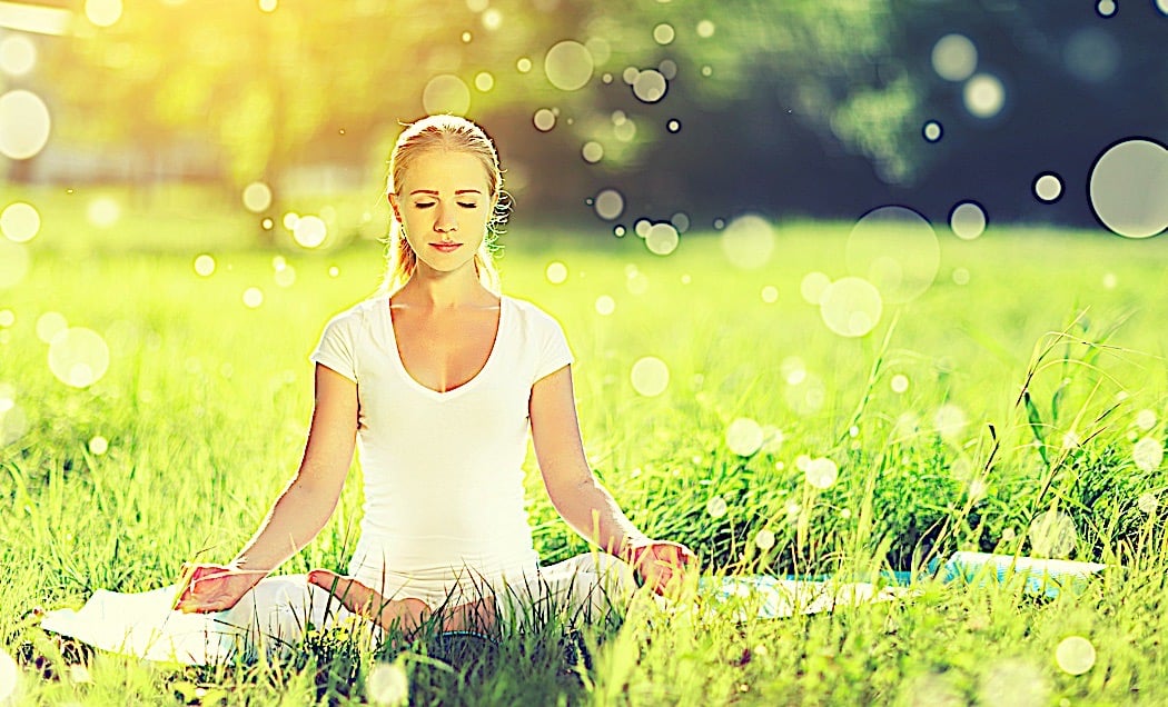 Mindful Weight Loss: A Buddhist Approach to Body, Habit, and Healing