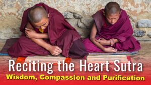 reciting the heart sutra for wis 28