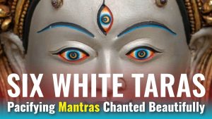 six white taras pacifying mantra 1