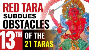 tara 13 of 21 taras tara the com 1