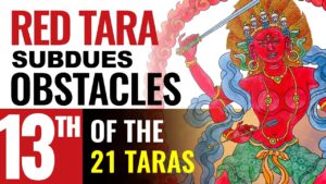 tara 13 of 21 taras tara the com 4
