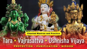 tara vajrasattva ushnisha vijaya 3