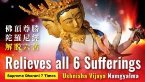 ushnisha vijaya namgyalma suprem 1